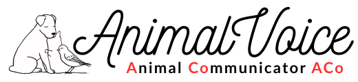 Animal Communicator ACo