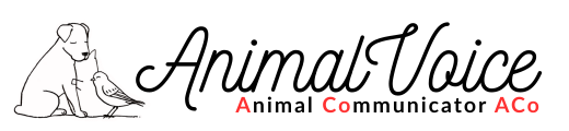 Animal Communicator ACo