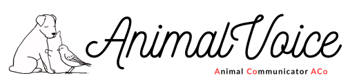 Animal Voice ACo